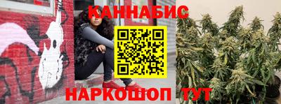 сатива Жуковский