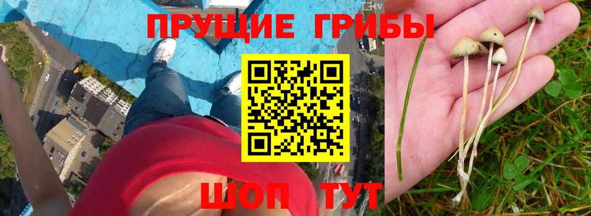 Галлюциногенные грибы MAGIC MUSHROOMS Муром